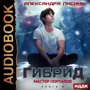 Постер книги Гибрид. Книга 8. Мастер порталов