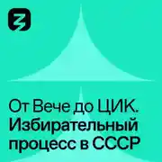 Постер книги Избирательный процесс в СССР