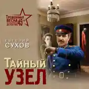 Постер книги Тайный узел