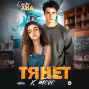 Постер книги Тянет к тебе