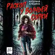 Постер книги Раскоп у Волчьей сопки