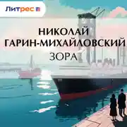 Постер книги Зора