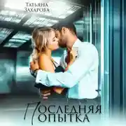 Постер книги Последняя попытка
