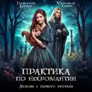 Постер книги Любовь с первого ритуала