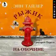 Постер книги Рыжик на обочине