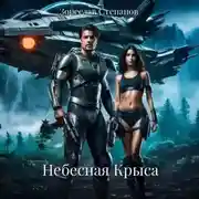 Постер книги Небесная Крыса