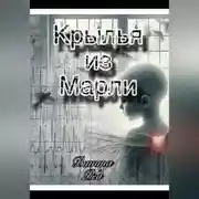 Постер книги Крылья из марли