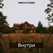 Постер книги Внутри