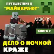 Постер книги Дело о ночной краже