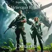 Постер книги Небесная крыса. Схватка