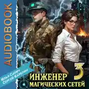 Постер книги Инженер магических сетей 3