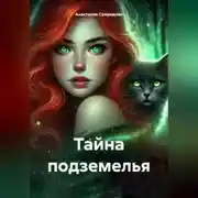 Постер книги Тайна подземелья