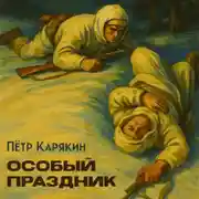 Постер книги Особый праздник