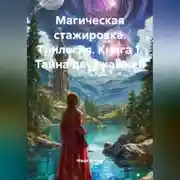 Постер книги Магическая стажировка. Трилогия. Книга 1. Тайна двух камней