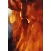 Постер книги Девушка