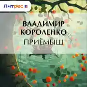 Постер книги Приемыш