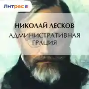 Постер книги Административная грация