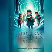 Постер книги В посках утерянных чудес