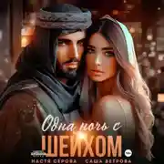 Постер книги Одна ночь с шейхом