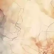 Постер книги Моя Сестра – Мой покой