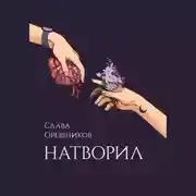 Постер книги Натворил