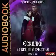Постер книги Осколки Северного Счастья. Книга 1