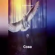 Постер книги Сова.