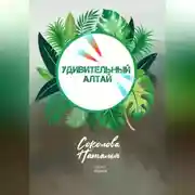 Постер книги Удивительный Алтай