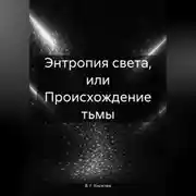 Постер книги Энтропия света, или Происхождение тьмы
