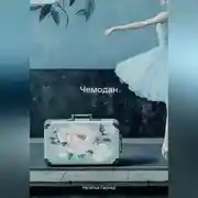 Постер книги Чемодан