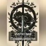 Постер книги Иллюзия Праведности
