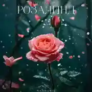 Постер книги Розалинд