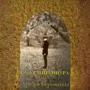 Постер книги Друзья Бергманна