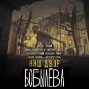 Постер книги Наш двор