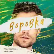 Постер книги Воровка