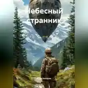 Постер книги Небесный странник