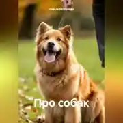 Постер книги Про собак