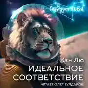 Постер книги Идеальное соответствие