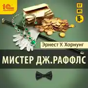 Постер книги Мистер Дж. Раффлс
