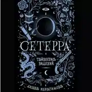 Постер книги Тайнопись видений