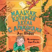Постер книги Мальчик, который летал с драконами