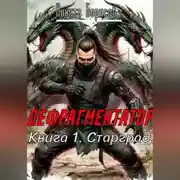 Постер книги Дефрагментатор. Книга 1. Старград