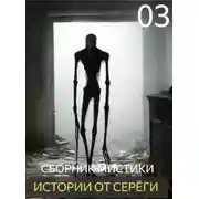 Постер книги Истории от Серёги №3