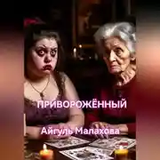 Постер книги Приворожённый