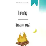 Постер книги Почему не падает луна?