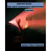 Постер книги При свете маленького прожектора