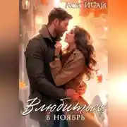Постер книги Влюбиться в Ноябрь