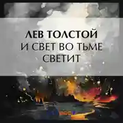 Постер книги И свет во тьме светит