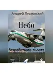 Андрей Лесковский - Небо безработного пилота