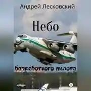 Постер книги Небо безработного пилота